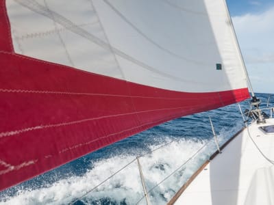 2400_x_1350_rya_page.1.jpg