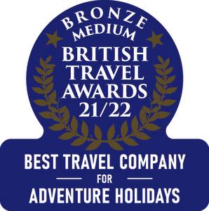 Bronze Award