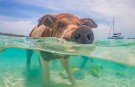 Abacos, Bahamas