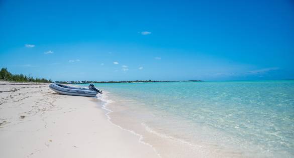 Destinations for Wildlife Sailing Holidays