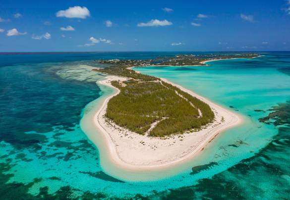 Abacos