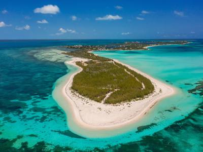 abacos