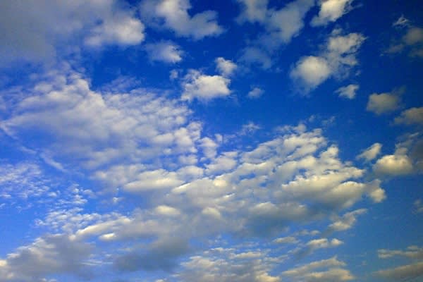 Cirrocumulus