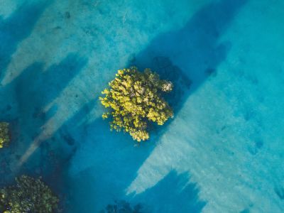 Earth Day: Sail Smart, Pack Smart
