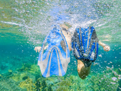 ss_best_diving_hero-1