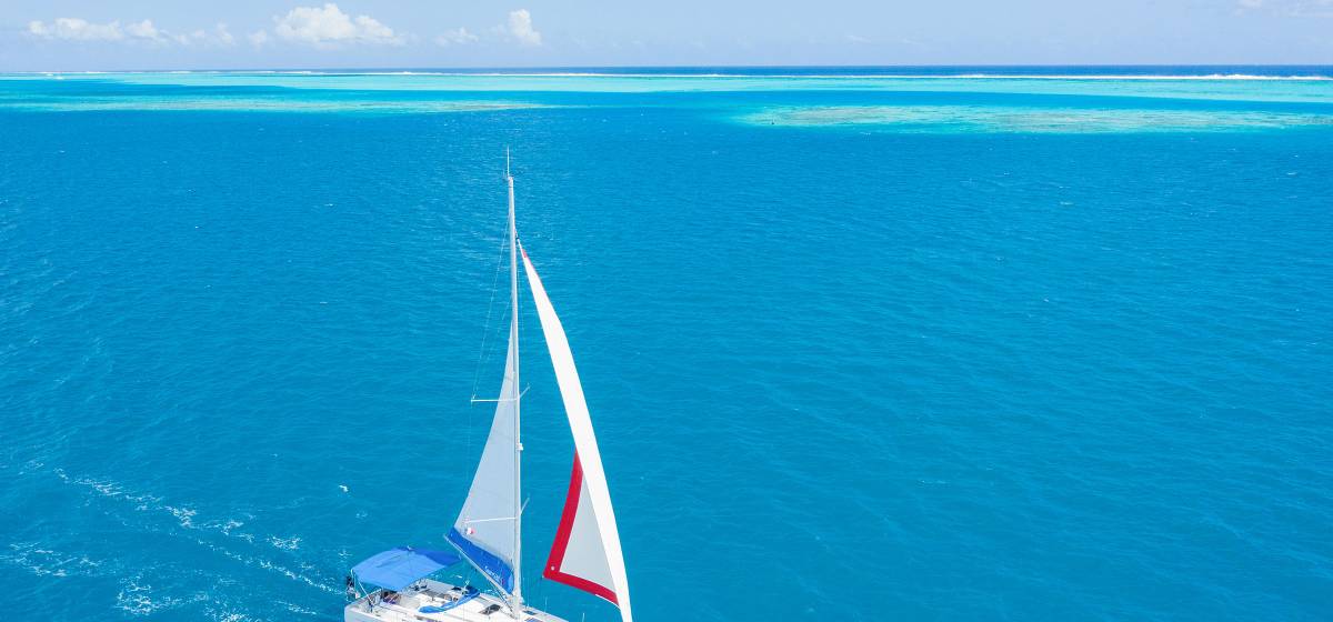 Découvrez le Sunsail 434 : naviguer, oui, mais à votre façon.