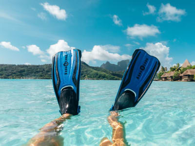 snorkel