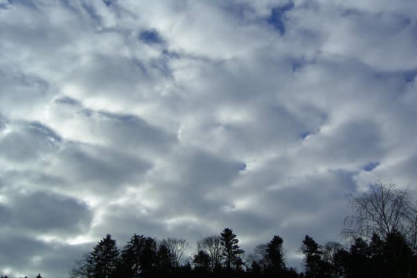 Strato-Cumulus clouds