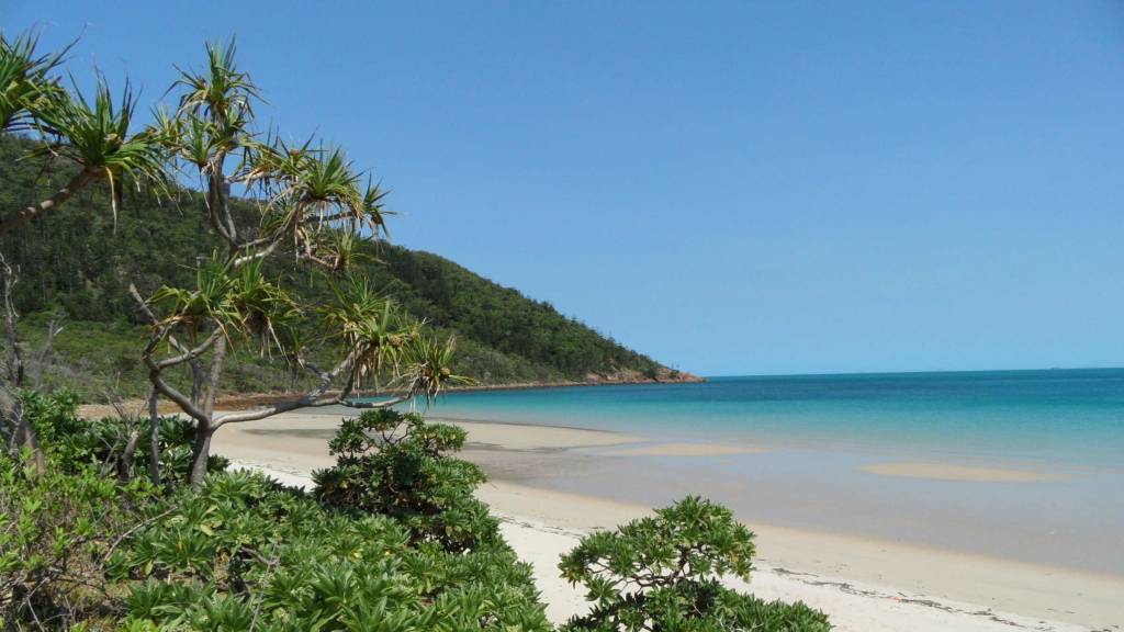 Thomas Island and Hamilton Island Whitsundays