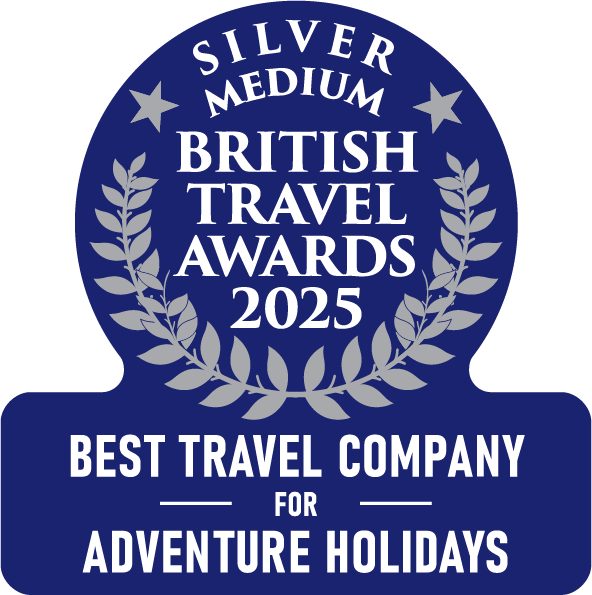 Silver travel award badge
